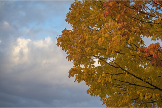 Quebec_city_in_autumn