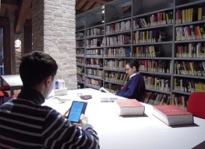 due persone in una biblioteca che leggono la sfida della letteratura