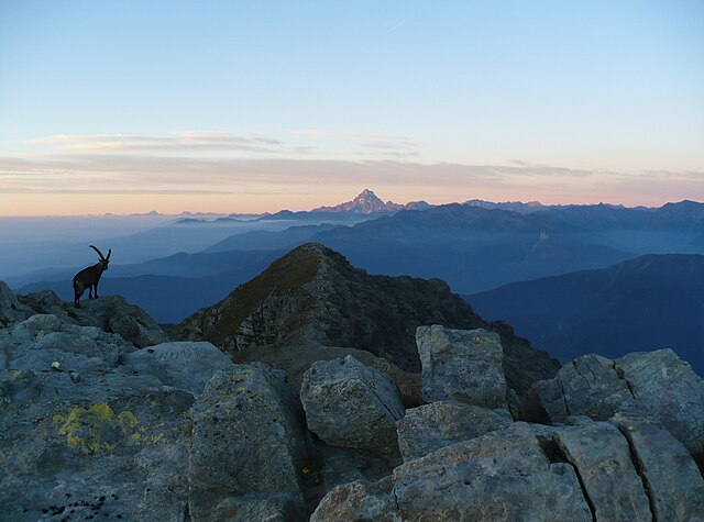 uno stambecco con sfondo una montagna al tramonto evocativo per il libro Sotto mentite spoglie