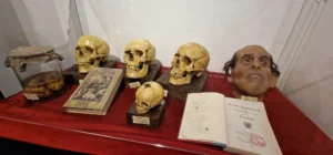 Esposizione di teschi