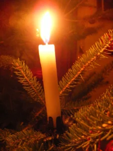 Live candles on the Christmas Tree (Wikimedia Commons)