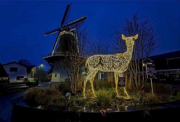 Ermelo - December 2021 - Christmas Decorations 01.jpg licenza CC