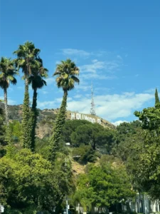 collina di Hollywood Foto di Frances D'Vine su Unsplash