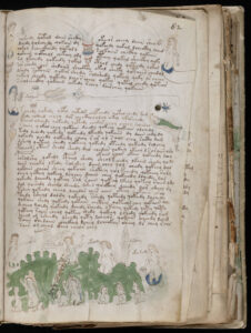 Manoscritto Voynich interno