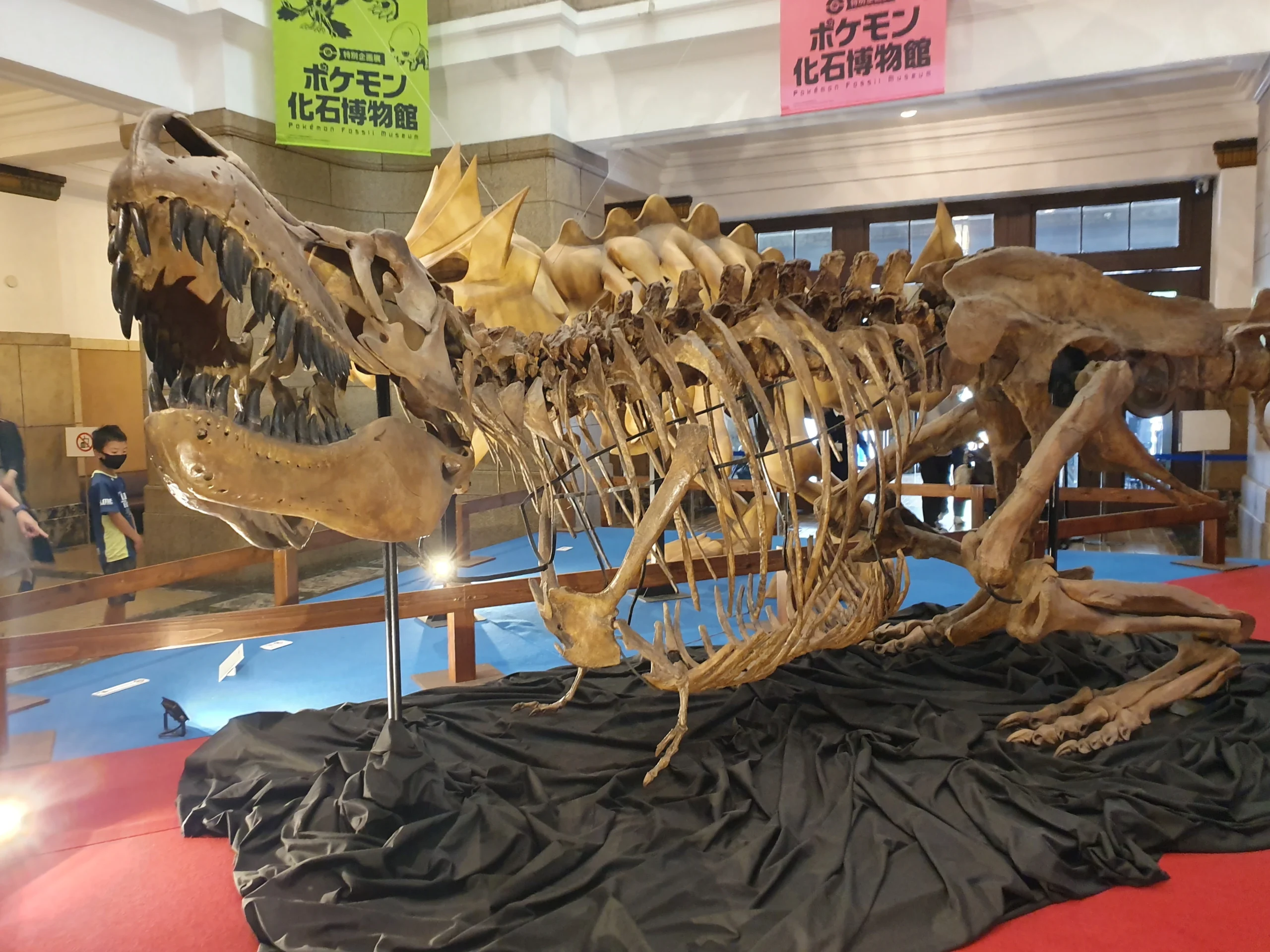 rappresentazione di un o scheletro di dinosauro