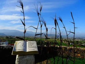 Belvedere di San Pietro a Galtellì. Scultura che ricorda il romanzo "Canne al vento" di Grazia Deledda foto licenza CC