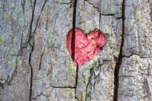 cuore intagliato nel legno