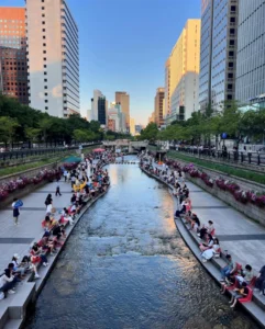 libreria all'aperto lungo il fiume