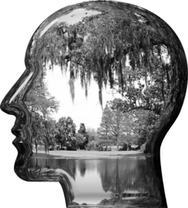 Immagine di un profilo con all'interno un paesaggio naturale.