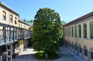 Cortile interno di Officina della Scrittura