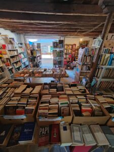interno libreria del gattile