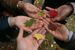 mani diverse con in mano foglie diverse 