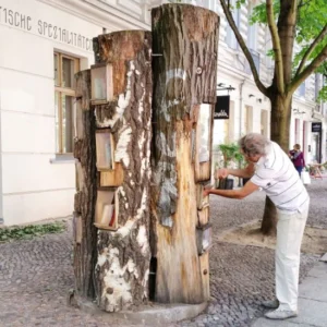 una persona davanti al tronco mentre prende un libro