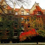 omicidio all'università immagine dell'università di Chicago in autunno