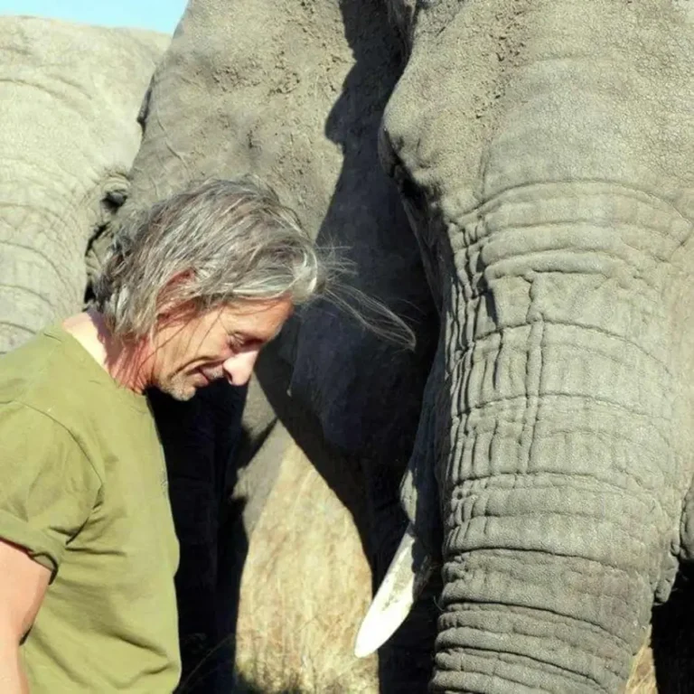 Gianni Bauce e un elefante.