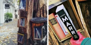libri e alberi
