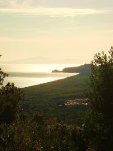 Pineta di Roccamare