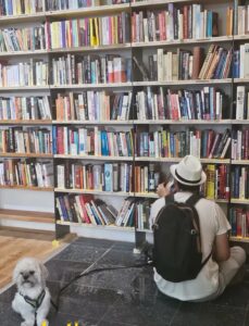 libreria Sandorf
