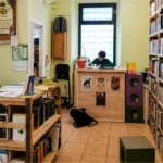 interno della casa dei libri senza prezzo