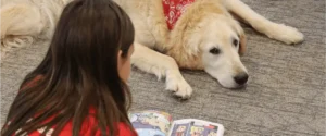 un cane sdraiato che ascolta leggere