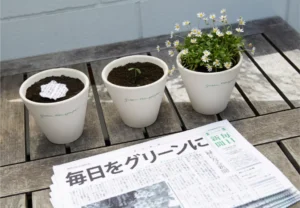 fiori e giornale