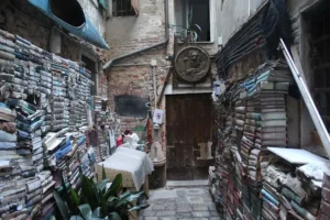ingresso libreria