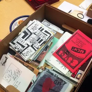 esempio di libri zine