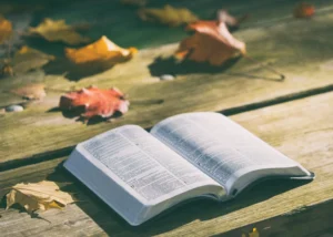 libro aperto con foglie autunnali su un tavolo all'aperto